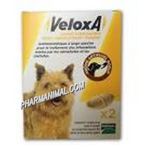 VELOXA CHIEN (A CROQUER)       	b/2      cpr  **